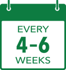 4-6 weeks calender icon green