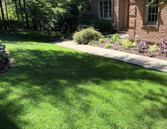 Top Turf Lawn Care Services & Pest Control: Home Page