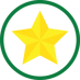 gold star icon green