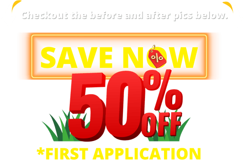 save now 6