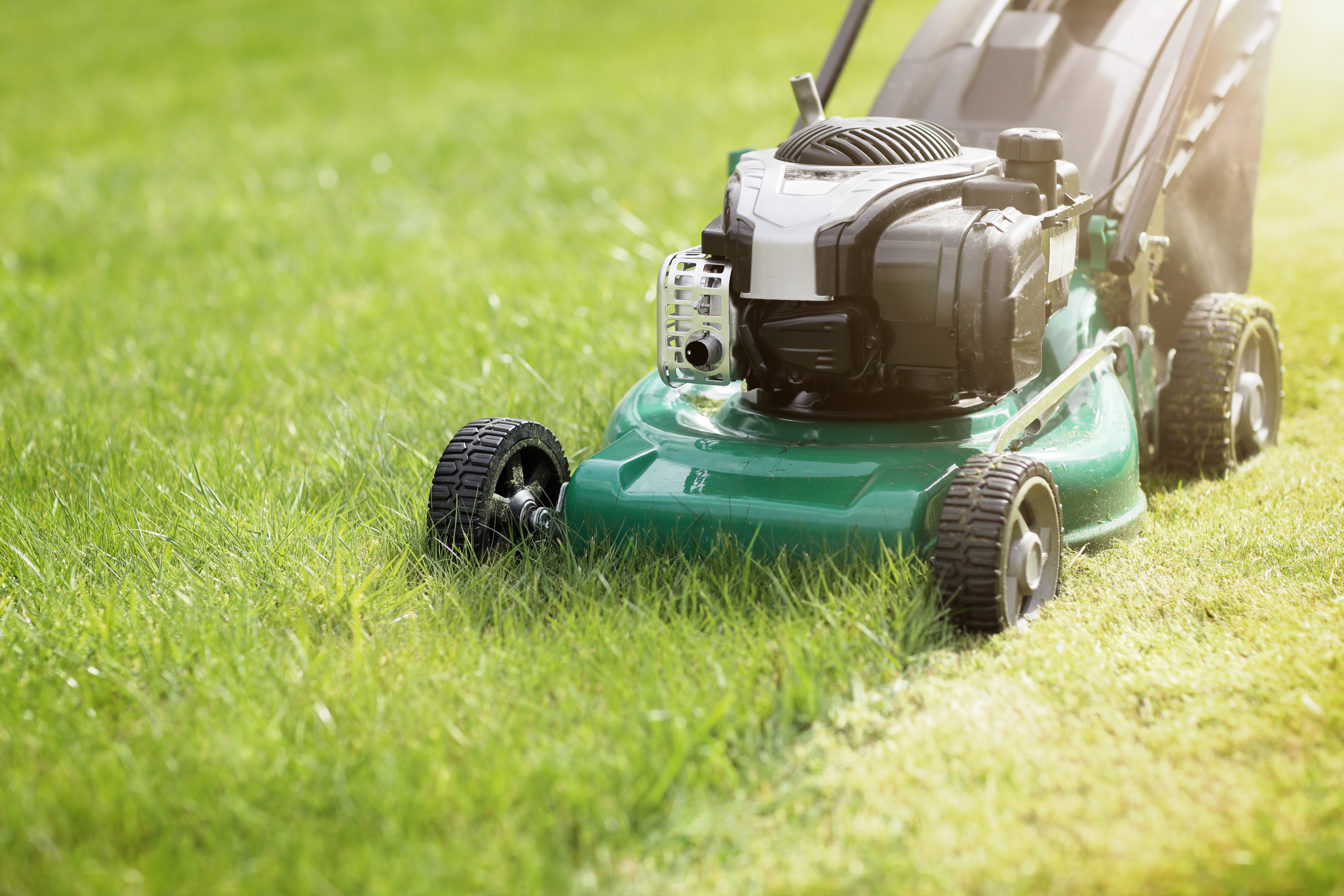 Mow-mentum: Mastering Your Summer Lawn Care Routine