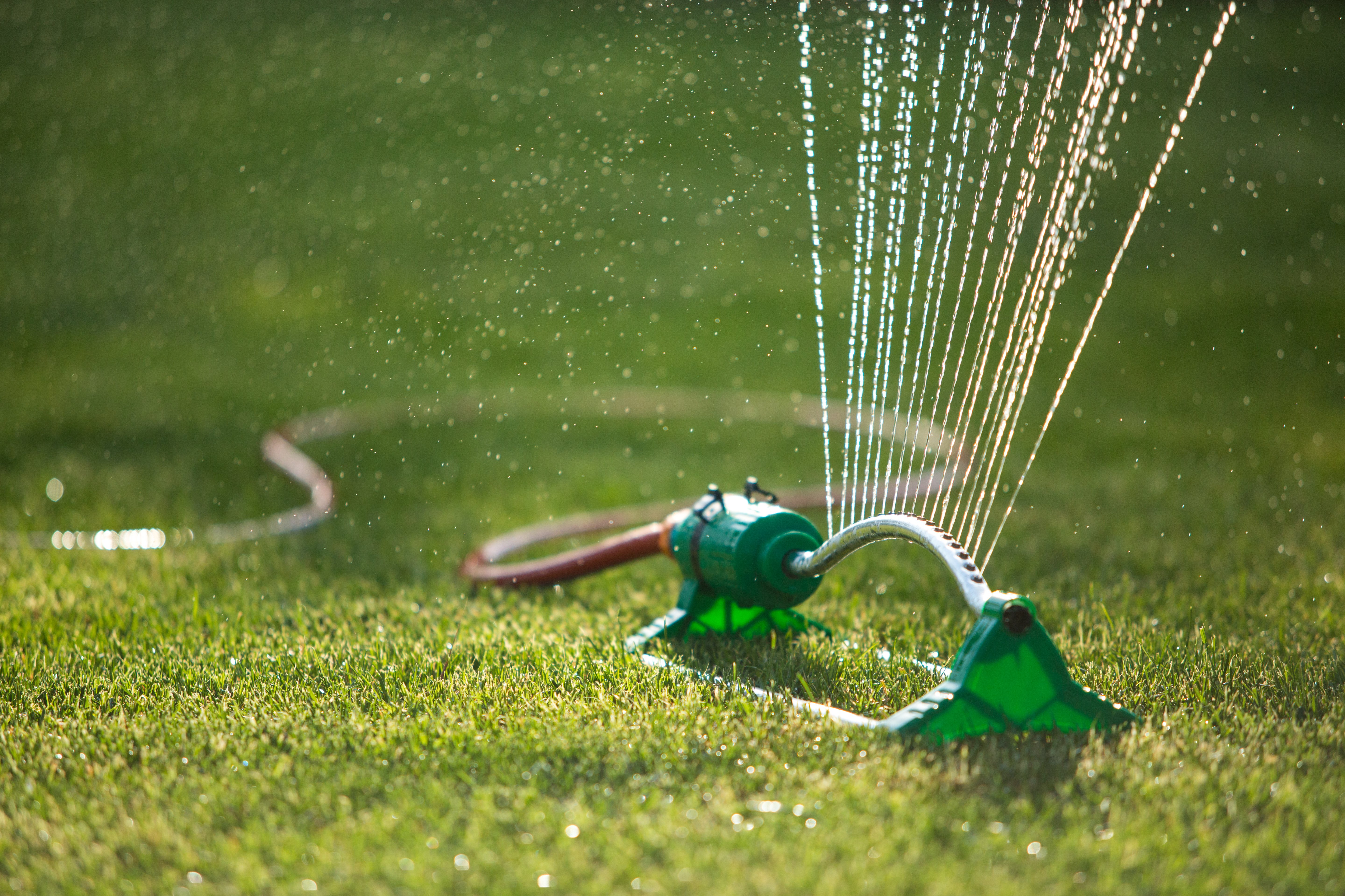 Don't Have In-Ground Irrigation? DIY Sprinkler System