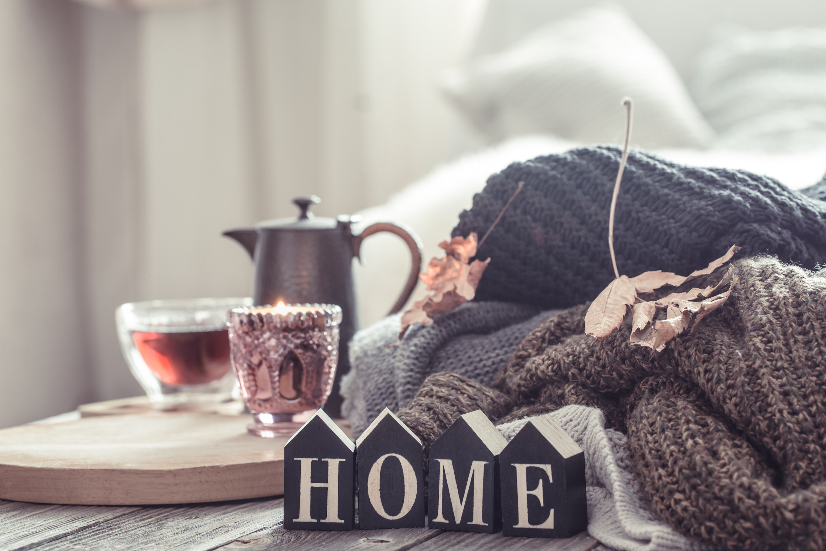 Pests Turning Your Home Into A Cozy Getaway?