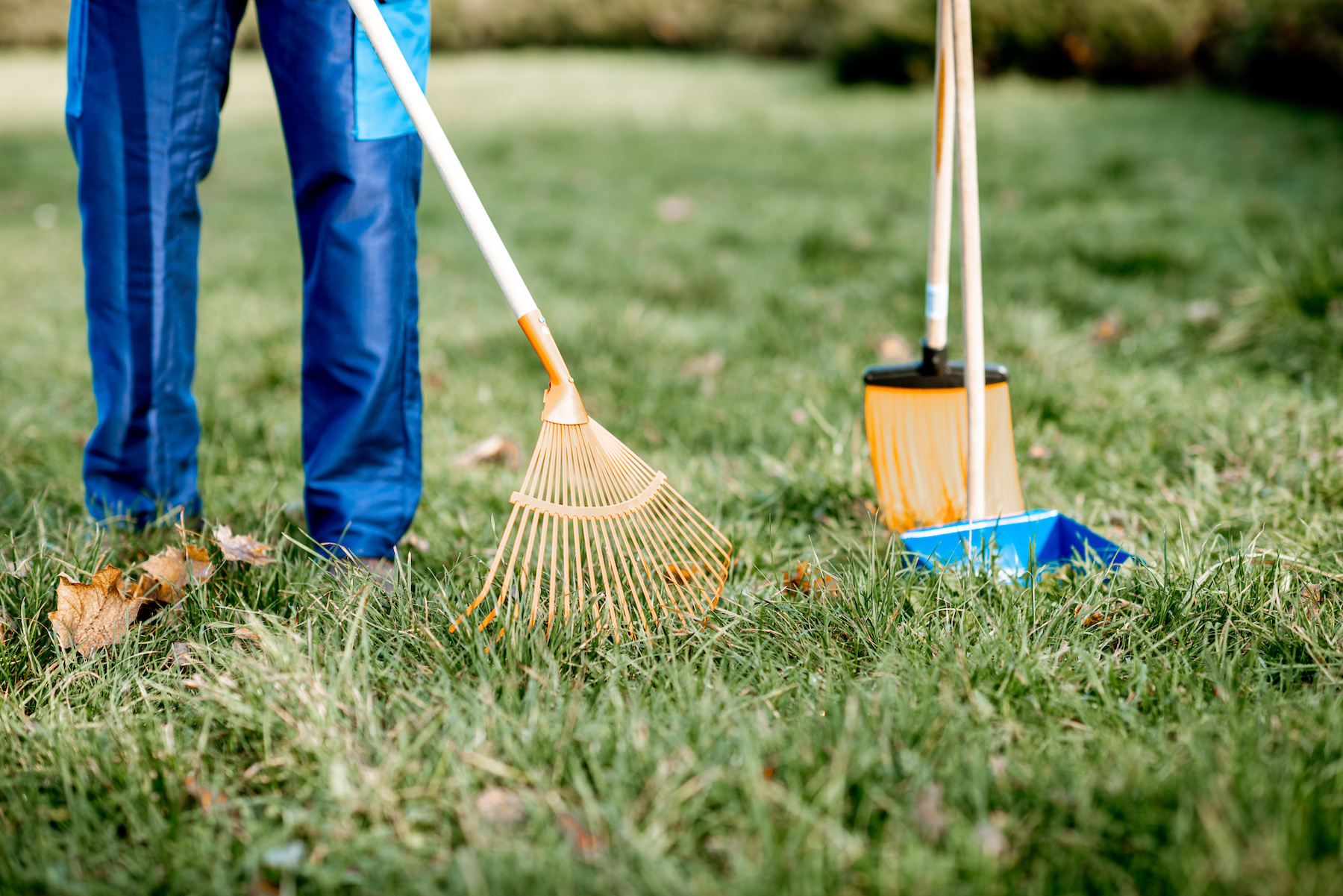 Fall Cleanup Checklist: The Ultimate Guide for Yard & Garden Prep